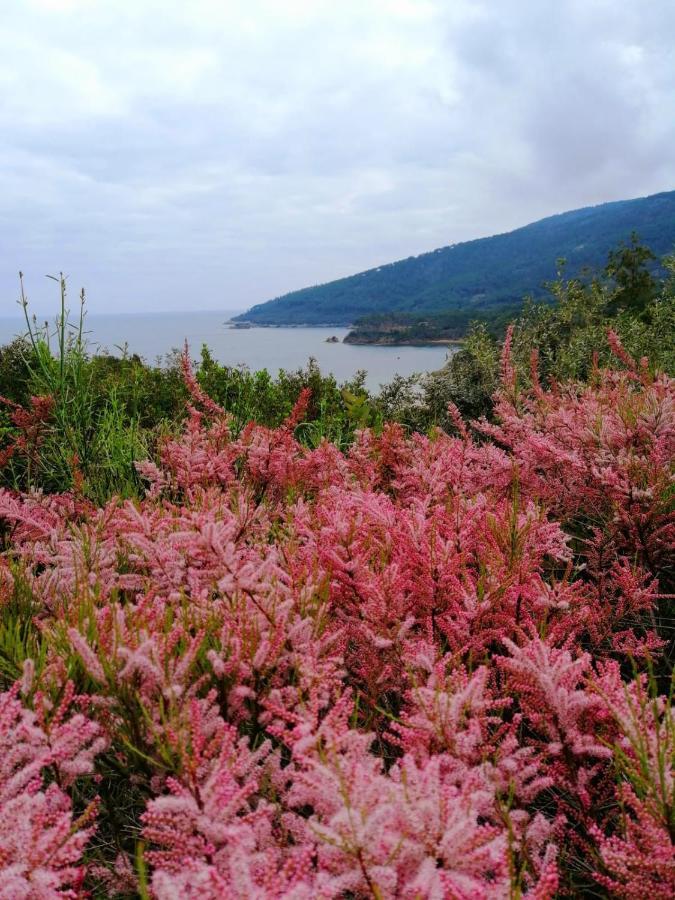 Villa Perla Capoliveri  Dış mekan fotoğraf