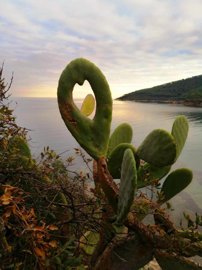 Villa Perla Capoliveri  Dış mekan fotoğraf